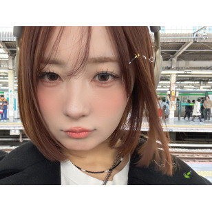 MOLAK 1day Twinkle Brown モラク ワンデー トゥインクルブラウン